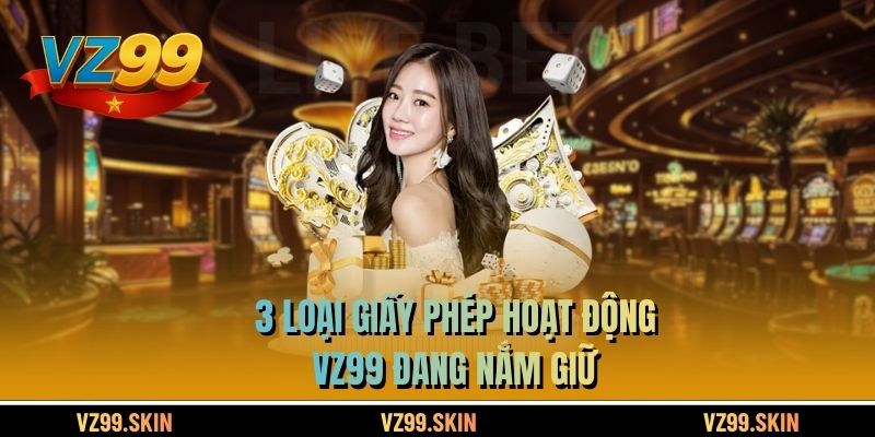 3 loại giấy phép hoạt động VZ99 đang nắm giữ